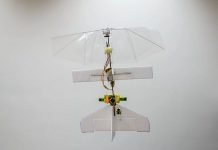 Robot-Dragonfly Drone India