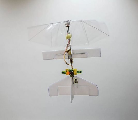 Robot-Dragonfly Drone India