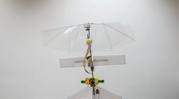 Robot-Dragonfly Drone India